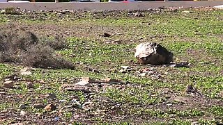 Risky naked walk down the street. Public nudity MiaAmahl