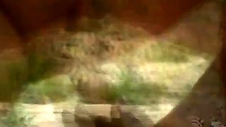 Busty Amateur Beach Milfs Ride Young Cock Outdoors