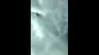 CIMA black and ebony