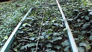 Michelle B In Amazing Classic Sex