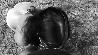 Pet Girl Obedience Training