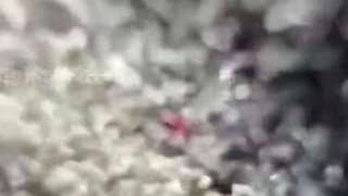 amateur MILF cocksucking all the way