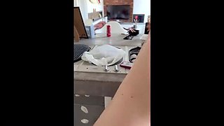 Elena917 Rough POV Slapping & Punching Compilation - BDSM Punishment HD