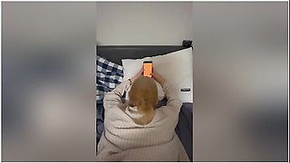 한국어 공부하는 일본 여대생 따먹기(풀버전 온리팬스) Fuck Japanese Girl While Studying Korean