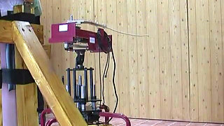 Nicol Spanking Machine - Cane