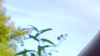 Pissing Compilation. Golden Rain. Femdom Piss. Shaving Pussy. Ep 10316