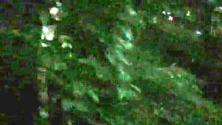 Blonde Stepsister Caught Sucking Cock in the Dark - Cum Swallowing Teen