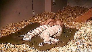 Captive Cocks Converge