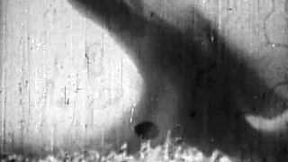 Wet amateur doggystyle