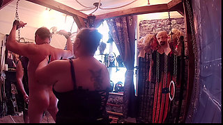 Part 2:- Meet Daisy, Domina's and Lanista's new toy x