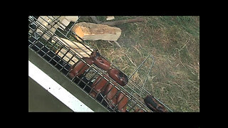 Cocks in Ass Camping (full Movie HD Version)