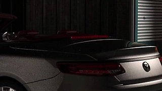 Lily of the Valley #16