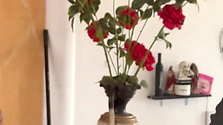 The Streetwalker, Picked up From the Street, Picked up Again at Home