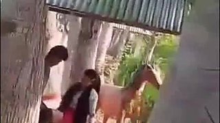 Uber-cute Indian Lady Bumpers Throating and Screwing