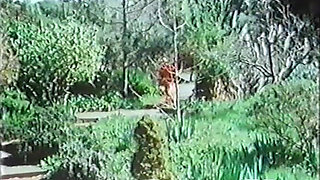 Never so Deep (1981)