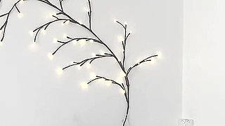 Homemade Interracial Creampie