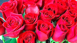 Mother, big ass, bangladeshi wife