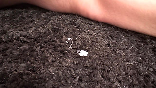 Hold milf rides a monster cock after sucking it deepthroat