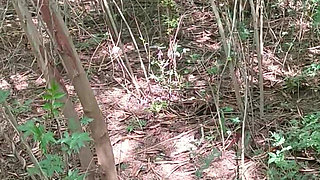 You Won't Believe This Forest Love Story