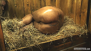 Horror Porn 37 Rabbit Hutch