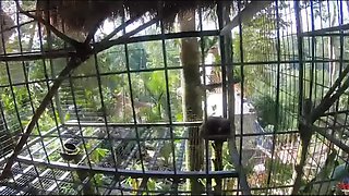 Skinny Thai harlot fucked in the pool