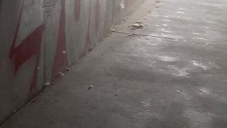 Pissing in the Underpass to the Bus Stop