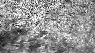 Pet Girl Obedience Training