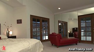 TS stars butt fucking punish thieves