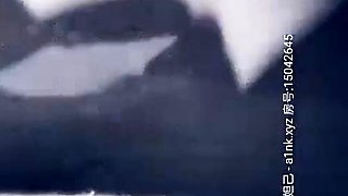 Amateur Doggystyle Hidden Cam
