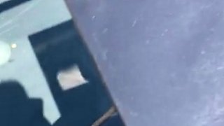 Milf blonde Puma Swede blows big hard cock outdoor