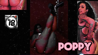 Spotlight Series Vol One Poppy & Fernanda Uzi