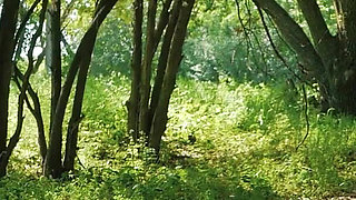 Sloppy Outdoor Blowjob and Cum Swallow with Stranger Outdoors