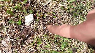 pee on the ground near truck wheel