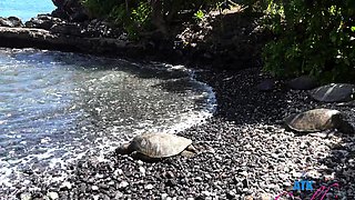 Emo Teen Becka Solo Webcam Masturbation Porn