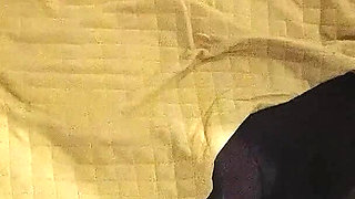 Desi Village Bhabhi Fucked Stepfather Hardcore XXX Video