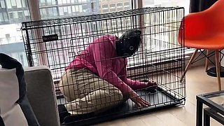 Lord Goddess Maria - Introducing The Slave To Its Cage