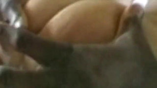 The Brunette, the Blonde and the Busty