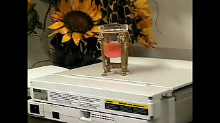 Allysin Chaynes: Fuck Me Hard and Cum on My Face